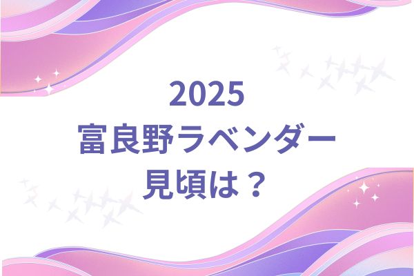 2025富良野ラベンダー見頃は？6月下旬から8月上旬までって本当？